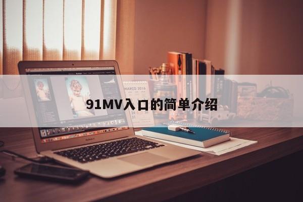 91MV入口的简单介绍